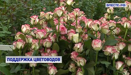 В России прогнозируют рост спроса на отечественную цветочную продукцию