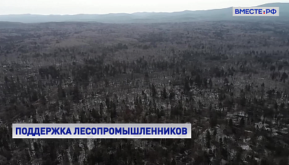 Архангельской области нужны дополнительные субсидии на транспортировку леса