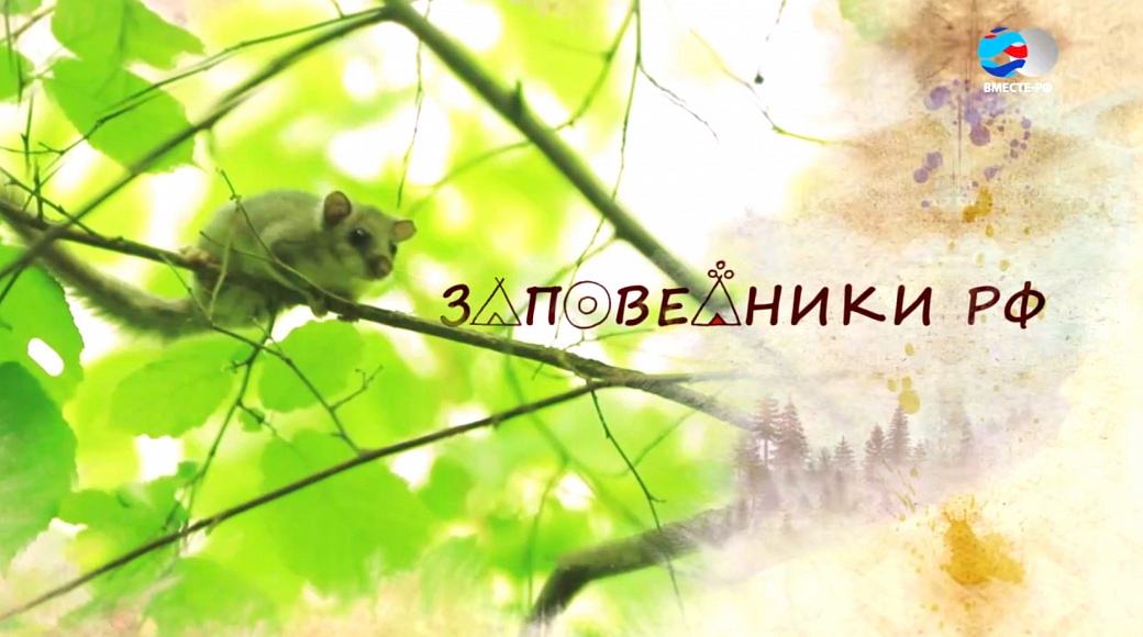 Local video