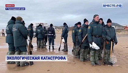 Тысячи жителей Краснодарского края вышли на очистку берега от нефтепродуктов