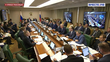 Заседание Комитета СФ по экономической политике – запись 6 февраля 2024 года 