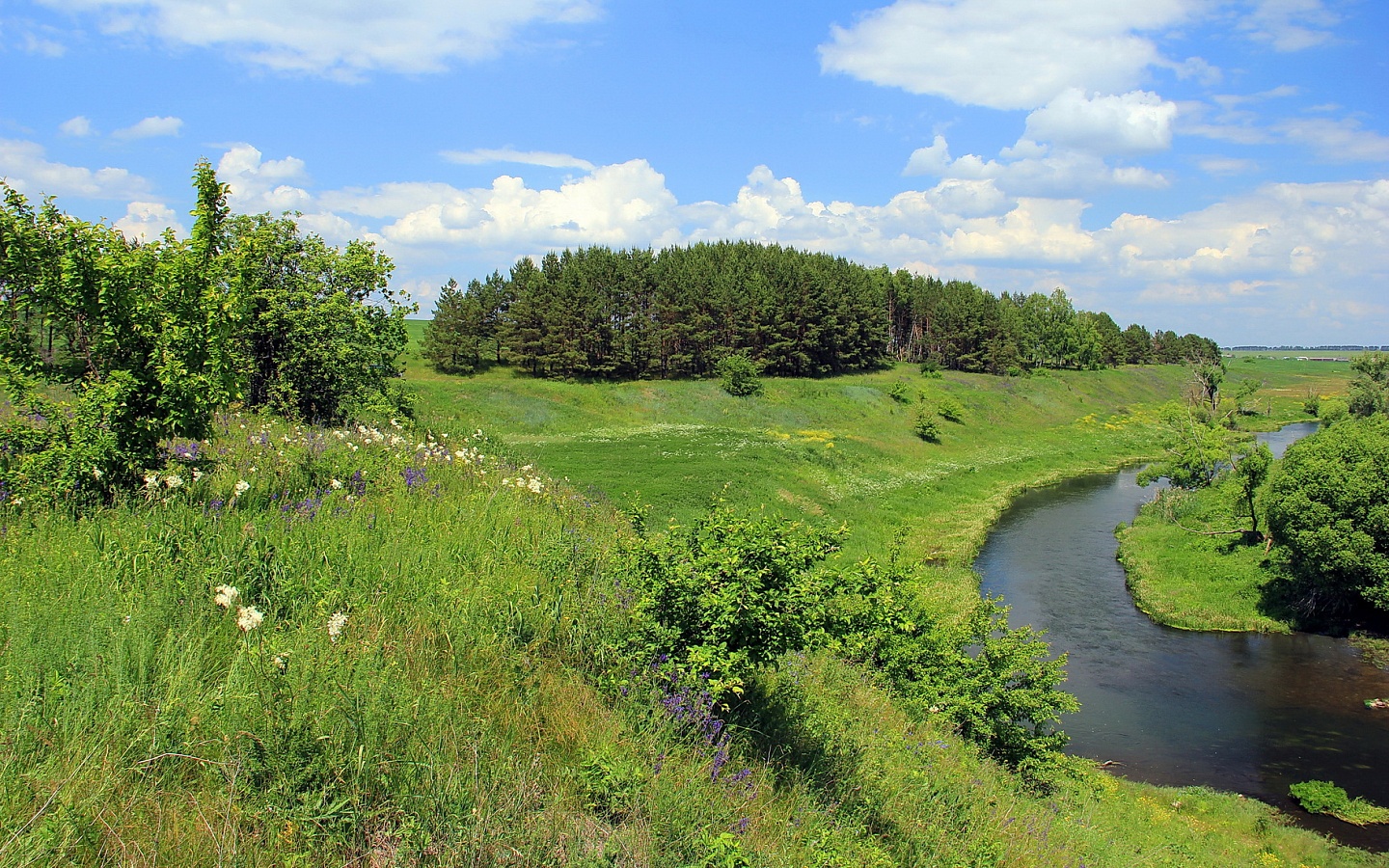 реки в орловской области