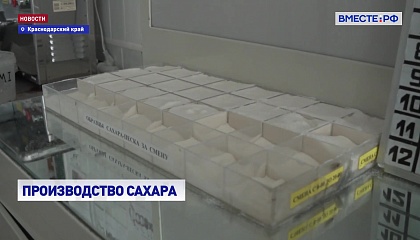 От свёклы до сладости: как создается сахар 