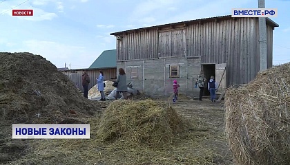 Путин подписал несколько законов, касающихся социального и материального благополучия россиян