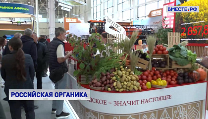 Экспорт органической продукции должен вырасти более чем в 7 раз, считают в СФ
