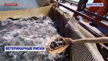РФ может расширить ограничения на поставки рыбы из Армении, если обнаружатся новые ветеринарные риски