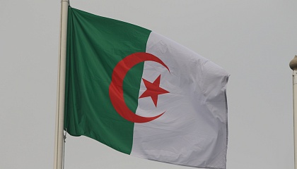 Матвиенко поздравила жителей Алжира с Днем революции