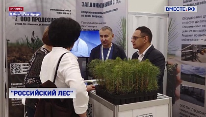 Международный форум и выставка «Российский лес» открылись в Вологде