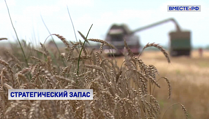 Защита внутреннего рынка: российские зерновые и сахар остаются в стране