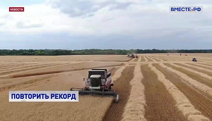 В России собрали более 100 миллионов тонн зерна