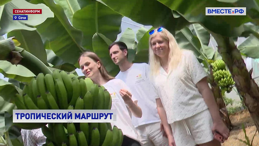 Local video