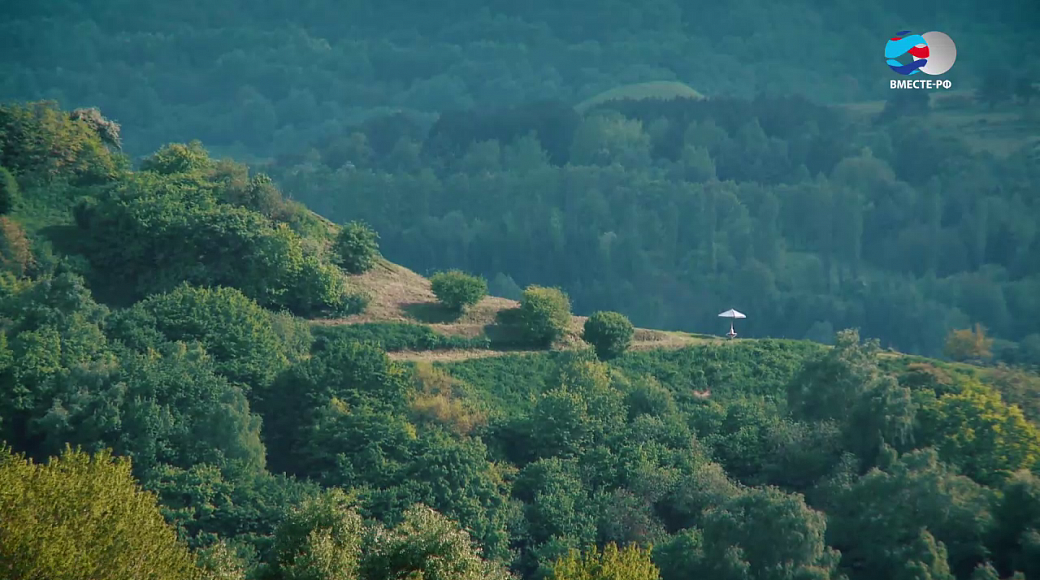 Local video