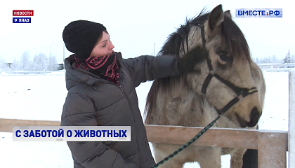 РЕПОРТАЖ: Верхом на северной лошадке