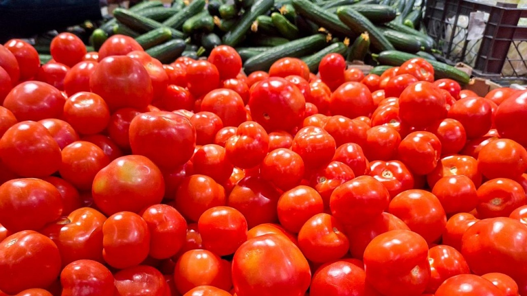 Фото: Svetlana Vozmilova/Global Look Press