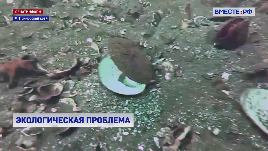 Local video