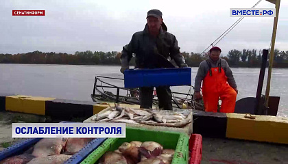 Сенаторы предложили в отдельных случаях разрешить погрузку и выгрузку рыбы без контроля ФСБ