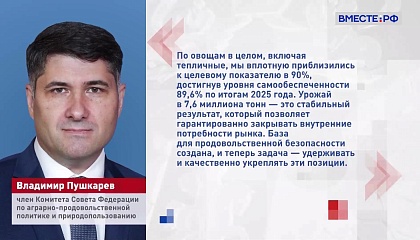 Россия наращивает собственное производство овощей