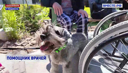 РЕПОРТАЖ: Друг человека меняет профессию