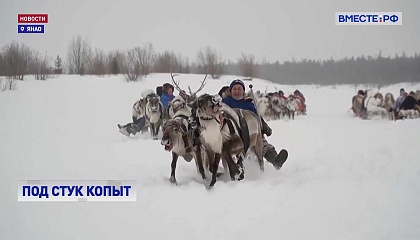 Более 10 тысяч человек отпраздновали День оленевода на Ямале