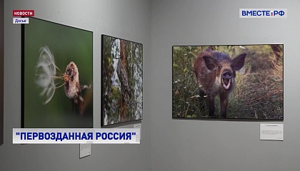 В Москве начинает работу XIII Общероссийский фестиваль природы «Первозданная Россия»