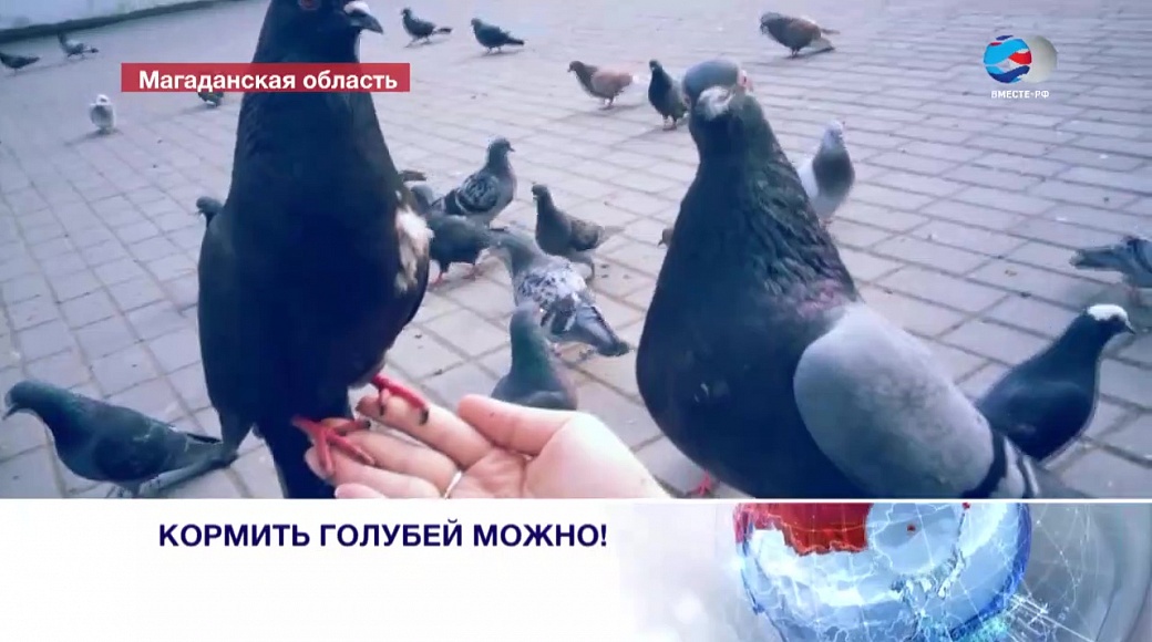Local video
