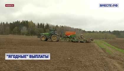 Садовым хозяйствам, пострадавшим от майских заморозков, планируют выделить 930 млн рублей