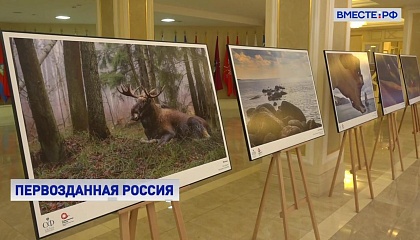 Валентина Матвиенко посетила выставку «Первозданная Россия»