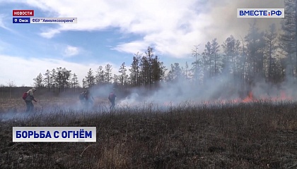 В регионах РФ продолжается борьба с лесными пожарами