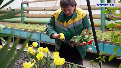 Сказано в Сенате. Андрей Епишин. Поддержка отечественных цветоводов 