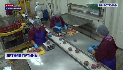 РЕПОРТАЖ: Работа рыбоперерабатывающего предприятия в Южно-Сахалинске