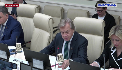 В Сенате предложили создать историческую комиссию в БРИКС