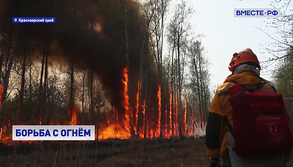 В Красноярском крае продолжают гореть леса, введен режим ЧС