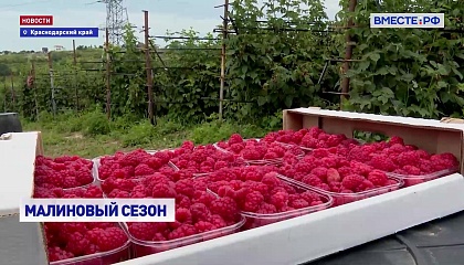 РЕПОРТАЖ: Заморская гостья