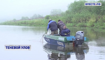Проблему незаконного промысла рыбы обсудили в Совете Федерации