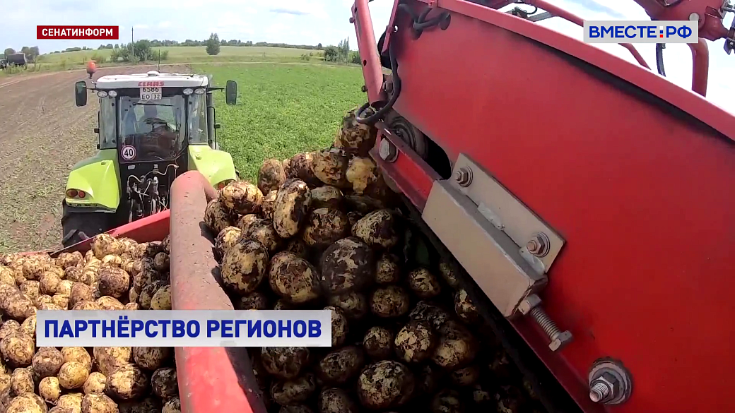 Сенаторы Щетинина и Краснов приняли участие в V Съезде малых городов Нижегородской и Гродненской областей
