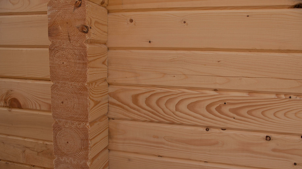 Фото: Nikolay Gyngazov/Russian Look