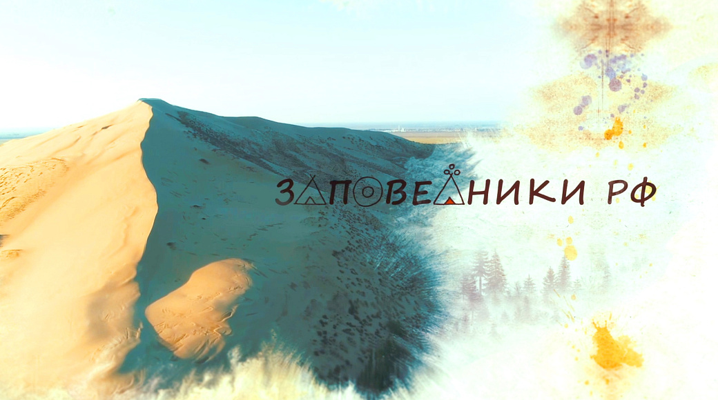Local video