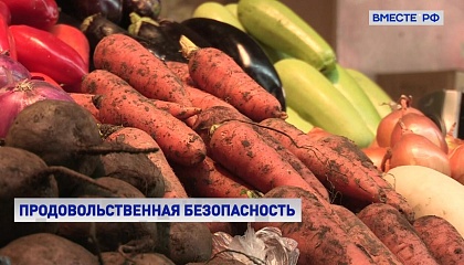 Российский рынок продуктов нуждается в защите от дешевого и некачественного импорта, считают в СФ