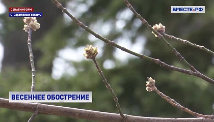 Врачи призывают страдающих поллинозом не заниматься самолечением и избегать травяных сборов