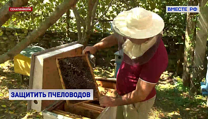 Законодательство в сфере пчеловодства требует дальнейшей проработки, считают в СФ