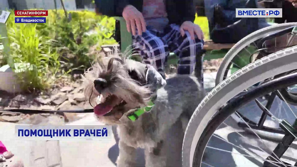 Local video
