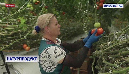 В этом году за звание лучших производителей органической продукции борются 23 производителя из 19 регионов России