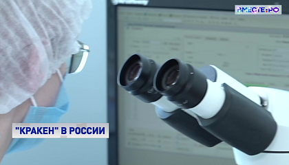 В России выявлен первый случай заражения штаммом коронавируса «Кракен»  
