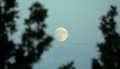 Москвичи увидят «голубую Луну» в ночь на 31 августа