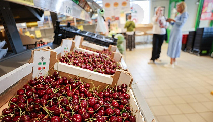 День черешни: эксперт рассказала, как выбрать самую вкусную ягоду