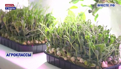 В Алексеевском районе Татарстана открылись первые агроклассы