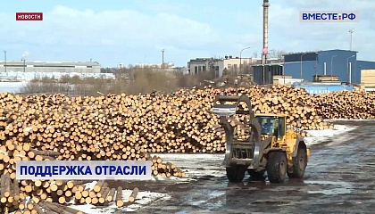 Лесной отрасли срочно нужны дополнительные меры поддержки, чтобы вывести ее из кризиса, заявил вице-спикер СФ Воробьев