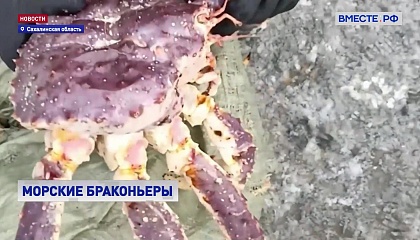 Сахалинские пограничники борются с «морскими браконьерами»