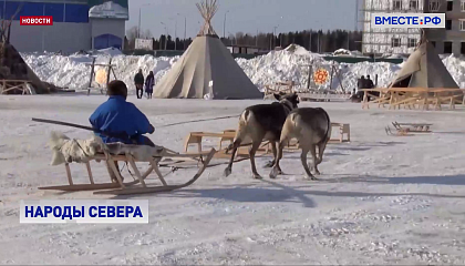 Сенаторы готовы поддерживать инициативы по развитию Дальнего Востока и северных регионов РФ