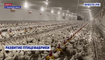 В Ульяновской области создали новую площадку по выращиванию бройлеров
